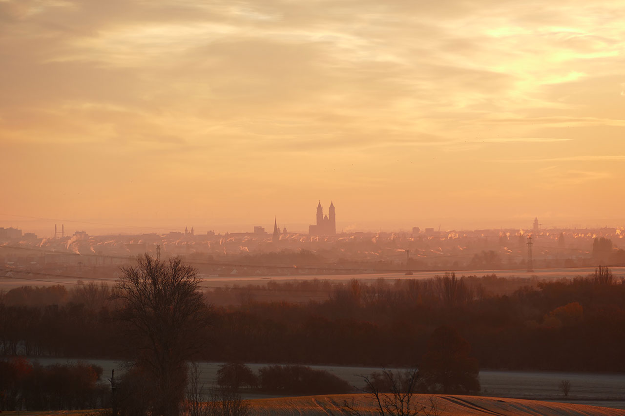 Rohrreinigung Magdeburg